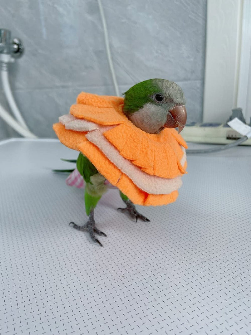 Adjustable Parrot Cone Collar, Safe and Practical Cotton Collar to Prevent Bites and Licking Wounds, to Help heal (5XL) 5XL - PawsPlanet Australia