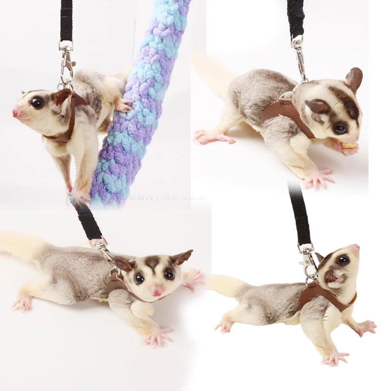 Sugar Gliders Harness Leash Set - 3 Pcs Training Walking Gear Small Animal Adjustable Traction Ropes Vest for Squirrels Hamsters Rats Gerbils Reptiles Bearded Dragon Lizards Orange 01 Orange - PawsPlanet Australia