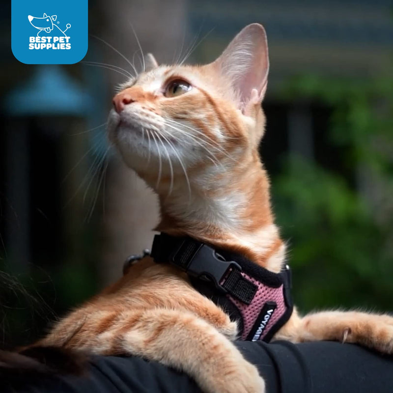 Voyager Step-in Lock Pet Harness - All Weather Mesh, Adjustable Step in Harness for Cats and Dogs by Best Pet Supplies - Army/Black Trim, XS (Pack of 2) - PawsPlanet Australia
