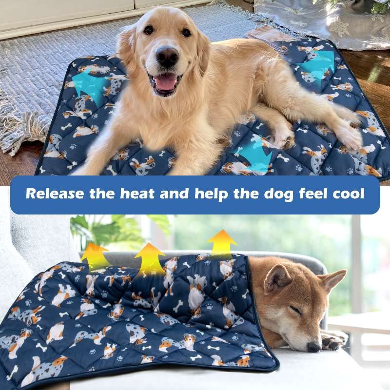 Dog Cooling Mat, Premium Lightweight Pet Cooling Blanket Bed Cover for Dogs, Cat, Puppies | Ice Silk Cool Pad for Dogs Furniture Protector | Machine Washable Pet Blanket, 40''x55'' Large Blue - PawsPlanet Australia