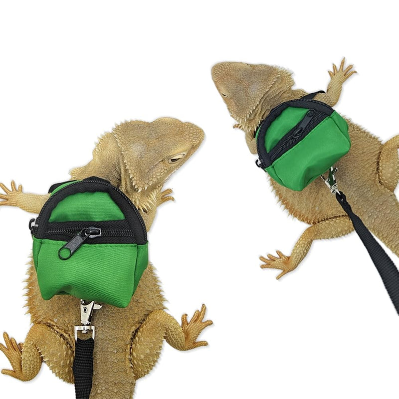Bearded Dragons Harness Leashes Set Cute Backpack Back to School Design for Small Pets Reptile Lizard Crested Gecko Chameleon Rat Hamster Squrriel Ferret Photo Shoot (Green) Green - PawsPlanet Australia