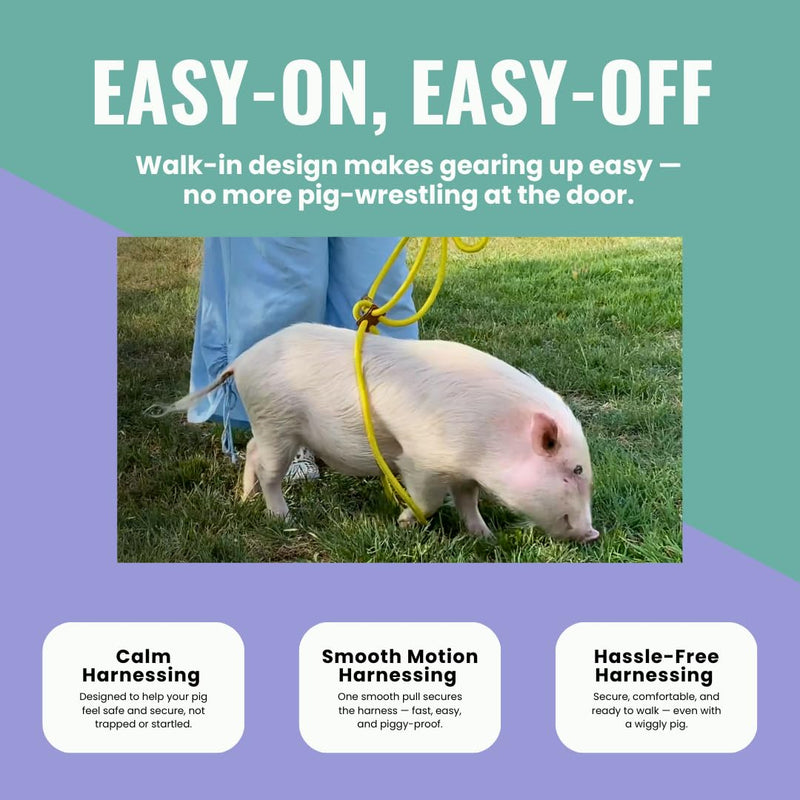 Mini Pig Harness & Leash (S/M) - Fully Adjustable, Infinity Style Lead, Step-in Harness, Potbelly Supplies, All-in-One - Ideal for Small & Medium Pet Pigs (Small, Eggshell Blue) S/M