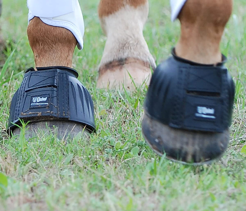 Cashel Rubber Bell Boots XL Black - PawsPlanet Australia