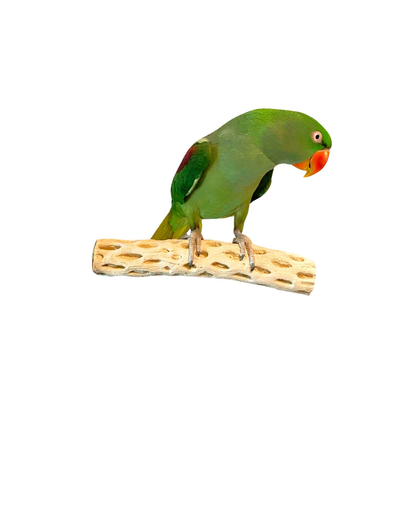 Polly's Manu Mineral Perch for Parakeets, Cockatiels, Macaws, Amazons (Large) Large - PawsPlanet Australia
