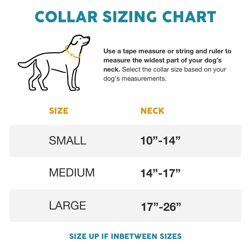 Embark Urban Dog Collar and Leash Set – Mayan Dog Collar for Small Dogs with Strong Buckle and Matching 4 Ft Leash, Waterproof, Comfortable, and Perfect for Adult Dogs - PawsPlanet Australia