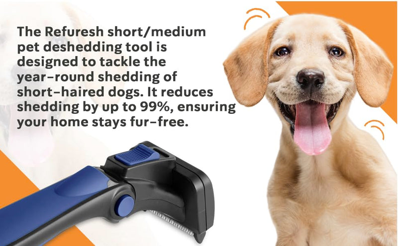 Deshedding Dog Brush for Short/Medium Hair (Large,Blue) – Gentle Deshedding tool for Dogs & Cats – Reduces shedding, without damaging topcoat. Removes Loose Fur & Dead Undercoat. blue Large - PawsPlanet Australia