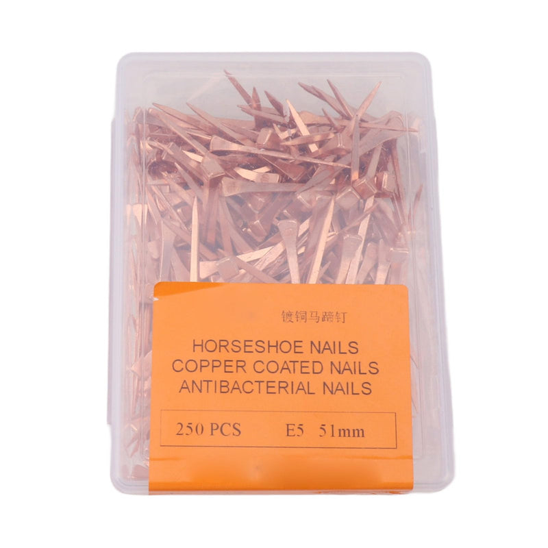 250Pcs Horseshoe Nails Copper Plated Rustproof Equestrian Riding Equipment Pet Supplies (51mm E5) 51mm E5 - PawsPlanet Australia