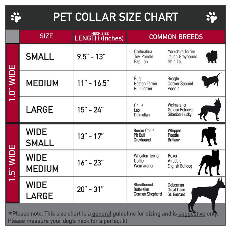 Buckle-Down Seatbelt Buckle Dog Collar - Minnie Mouse Polka Dot/Mini Silhouette Red/White - 1.5" Wide - Fits 13-18" Neck - Small