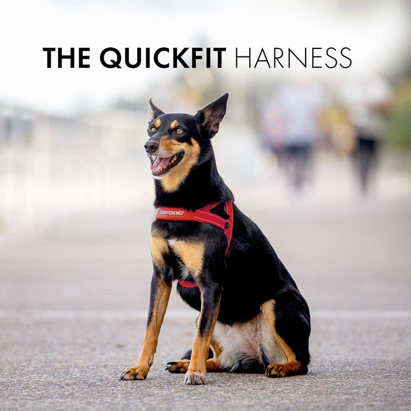 EzyDog Quick Fit Dog Harness - Premium Padded No-Pull Harness, Burnt Orange, Medium - PawsPlanet Australia