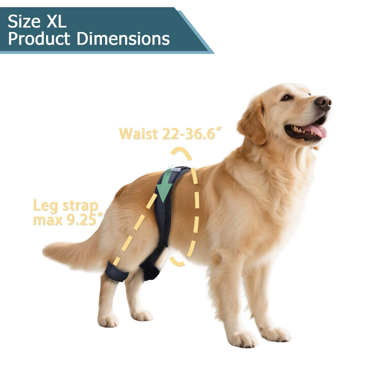 Adjustable Dog Leg Brace for Hip Dysplasia,Breathable & Supportive Dog Hip Brace for Pain Relief, Preventing and Improving Joint Dysplasia Hip Brace for Dogs,XL Extra Large