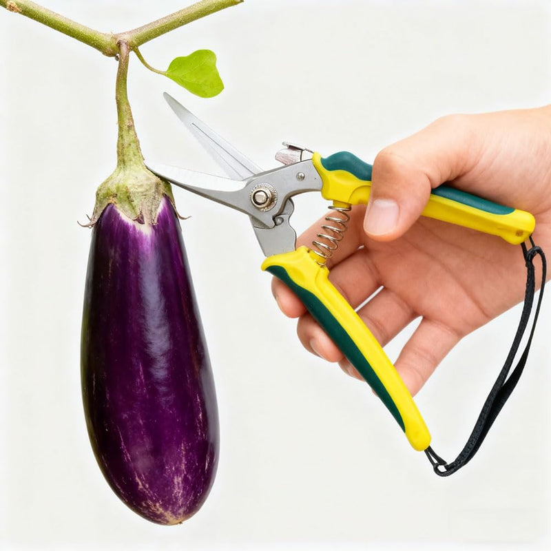 Garden Scissors Pruning Shears with Spring Loading Device for Trimming Branches Stems Flowers Indoor or Outdoor Gardening Use (Straight Heads,Style 1) Style 1 Straight Heads