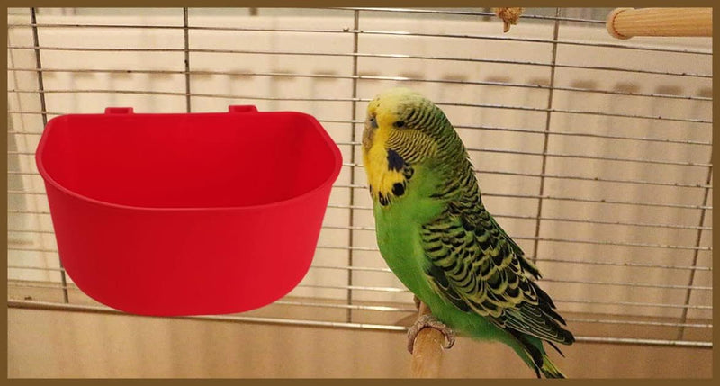 5 Pack Cage Cups Chicken Birds Feeder Water Bowl 25 OZ Rabbit Feeding Watering Dish for Travel Carrier Cat Puppy Food Dispenser Hanging Wire Cages Treats Box Seed Drinking Coop Cup Birdbath Red 25 OZ Pack of 5 - PawsPlanet Australia