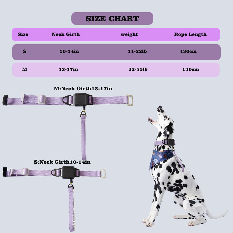 Retractable Dog Leash Collar for Small Medium Dogs - Chew Resistant Kevlar Rope, 5FT Silent Auto-Retraction - 2025 One-Piece with Cotton Padded Adjustable Neck (Purple, M) Purple - PawsPlanet Australia