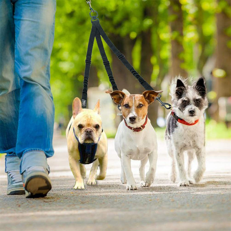 Nylon Dog Leash Coupler 3 Way No-Pull Pet Dog Lead Leashes No Tangle Bungee Three Dogs Leads Black L - PawsPlanet Australia