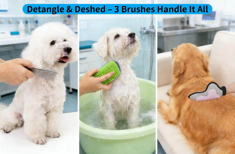 3-in-1 Pet Grooming Set: Soft Silicone Curry Bath Brush *1 & Stainless Steel Comb *1 for Dogs/Cats with Short/Long Matted Hair,Gentle Deshedding & Knot Removal,Dry & Wet Use Massage Glove*1 3PC IN 1