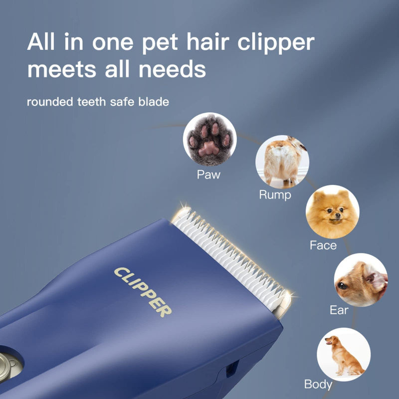 Dog Grooming Kit Clipper for Thick Coat Low Noise Cordless Cat Hair Trimmer Rechargeable Shaver Pet Grooming Tools for Small and Large Animals L006-blue - PawsPlanet Australia