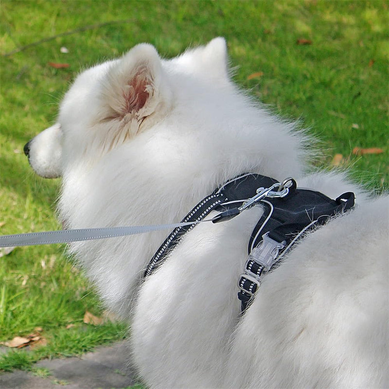 OUT'N WILD Quality No-Pull Dog Harness with 2 Leash Clips. Adjustable Soft Padded Reflective No-Choke Pet Oxford Vest, Easy Control Handle, Premium Transparent Buckles and Perl Nickel Hardware:Black/S Black S - PawsPlanet Australia