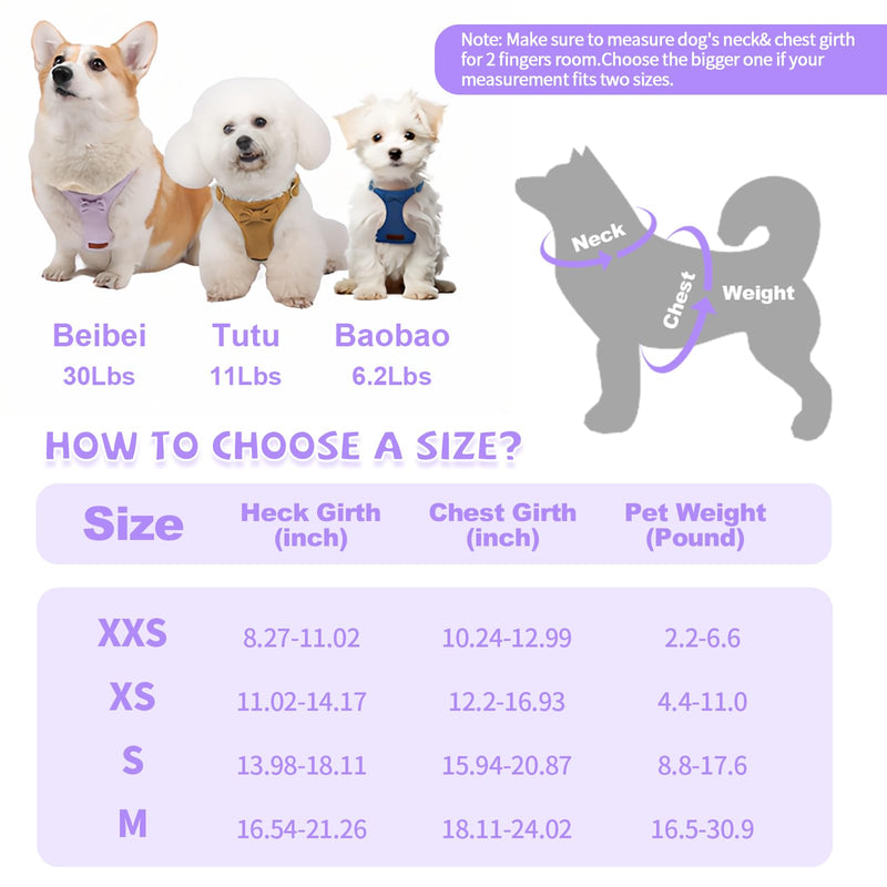 No Pull Small Dog Harness and Leash Set, Adjustable Puppy Harness for Extra Small XS XXS Girl Dogs, Soft Suede No Choke and Escape Proof Pet Harness Vest Leash for Puppy Cat (Purple XS) Purple - PawsPlanet Australia