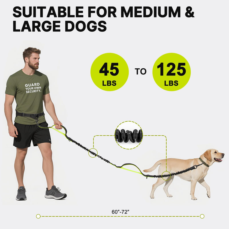 Hands Free Dog Leash for Medium Large Dogs, Waist Support Padded Bungee Dog Running Leash with Reflective Stitching for Walks, Jogging, Running, Hiking, and Dog Training for One Dog Black/Green - PawsPlanet Australia