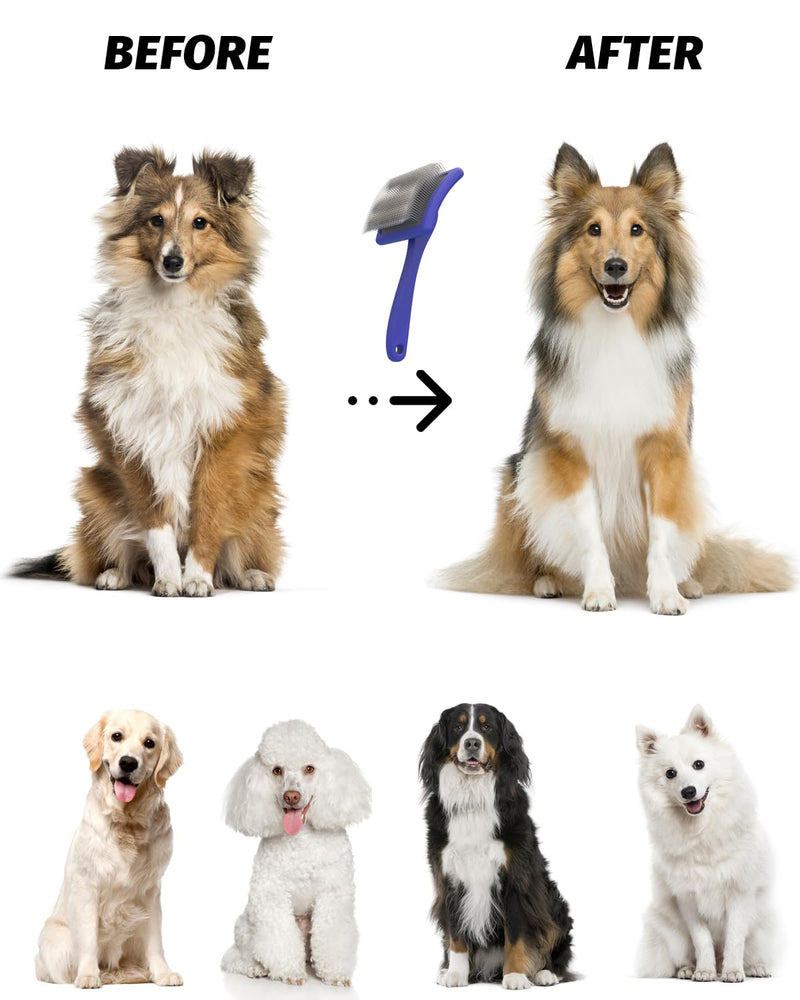 Dog Slicker Brush, Large Dog Brush, Professional Doodles Brush, for Poodles, Goldendoodles and Labradoodles, Easy to Remove Tangles, Mats and Fluff, Blue