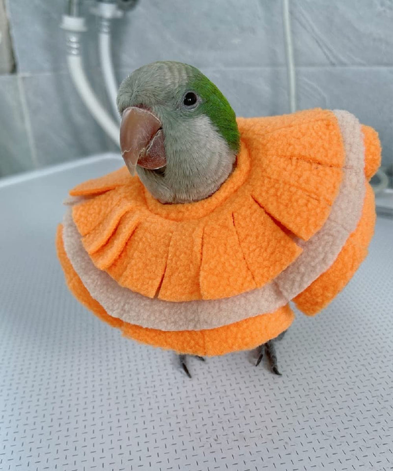 Adjustable Parrot Cone Collar, Safe and Practical Cotton Collar to Prevent Bites and Licking Wounds, to Help heal (5XL) 5XL - PawsPlanet Australia