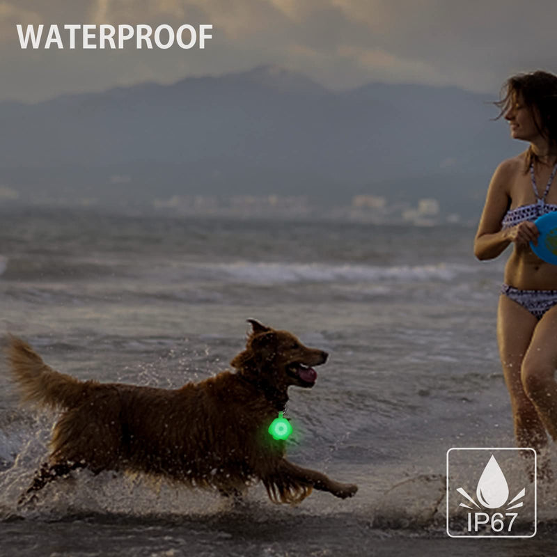 2-Pack Dog Light with USB Rechargeable, Color Changing Collar Light,IP67 Waterproof LED Safety Lights White - PawsPlanet Australia