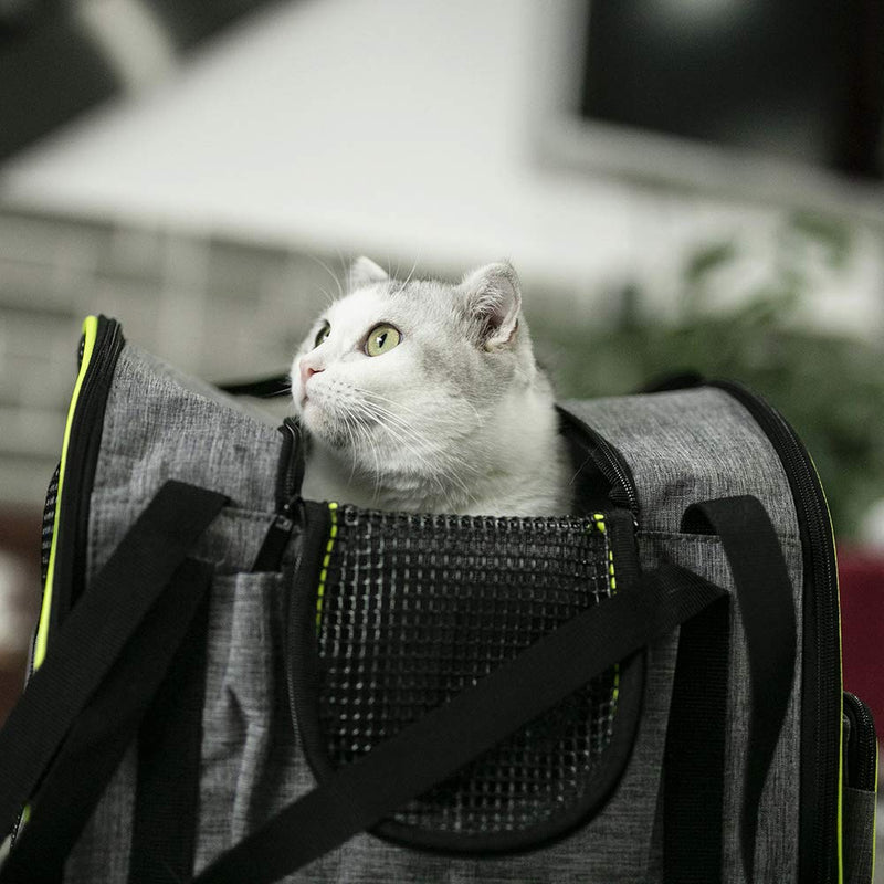 Collapsible Travel Cat Carriers Dog Carrier Pet Carrier for Small Medium Cats Dogs Puppies up to 15 Lbs,Multifunctional Pet Carrier Bag with Mesh Ventilation, Gray - PawsPlanet Australia