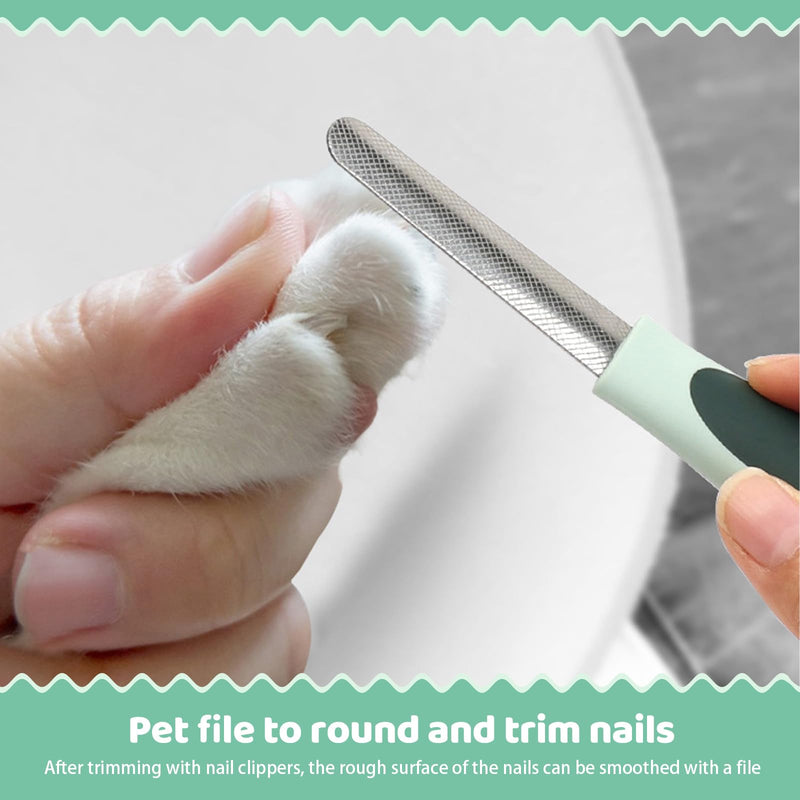 8-in-1 Pet Grooming Kit for Dogs & Cats - Includes Slicker Brush, Nail Clippers, Comb, Scissors, Toothbrush & Collapsible Bowl - Deshedding, Hair Trimming & Care Set, Travel Bag - PawsPlanet Australia