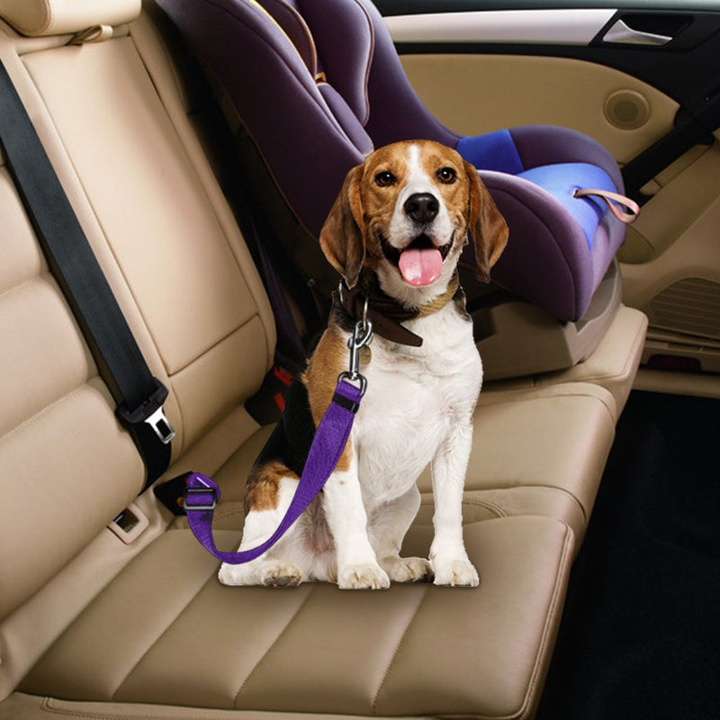 4 Pack Adjustable Pet Dog Cat Seat Belt, YuCool Safety Leads Vehicle Car Harness Seat Tether,Nylon Fabric- Black,Blue, Red, Purple - PawsPlanet Australia