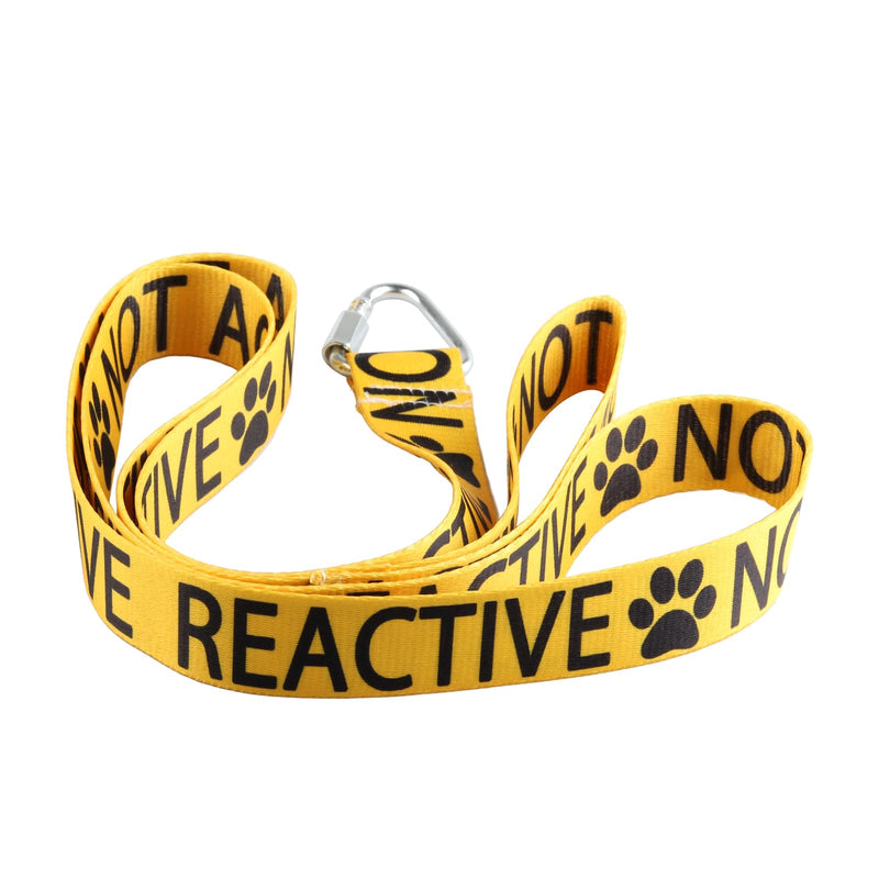 CENWA Reactive Not Aggressive Dog Lead Dog Leash Dot Not Pet Service Dog Leash Working Dog Leash (not Aggressive) - PawsPlanet Australia