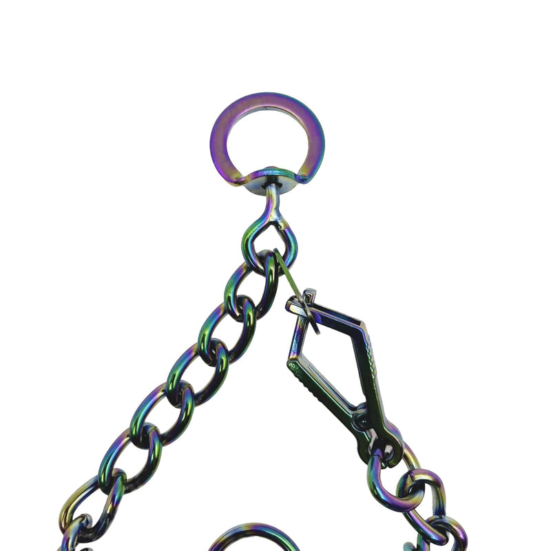 No Pull Dog Collar Adjustable Quick Release Dog Training Collar with Quick Release Buckle for Small Medium Large Dogs (Rainbow Color, L) Rainbow color - PawsPlanet Australia