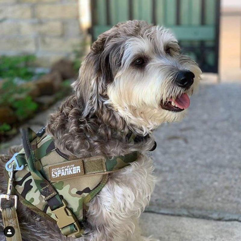 Large Tactical Dog Collar Adjustable Small Tactical Dog Harness and Bungee Dog Leash with Handle - PawsPlanet Australia