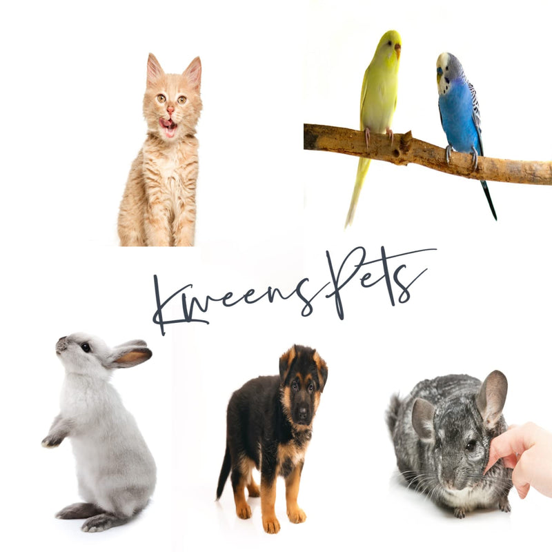 PURPLE Professional Small Pet Nail Clippers EASY GRIP Cat Nail Clipper and Trimmer Dogs Birds Rabbits Ferrets Chinchillas - PawsPlanet Australia