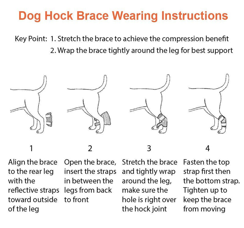 NeoAlly Cat and Dog Ankle Brace Pair Canine Rear Leg Hock Support with Safety Reflective Straps for Hind Leg Wounds Heal and Injuries and Sprains from Arthritis (XS Pair) XS (1 Pair) Black