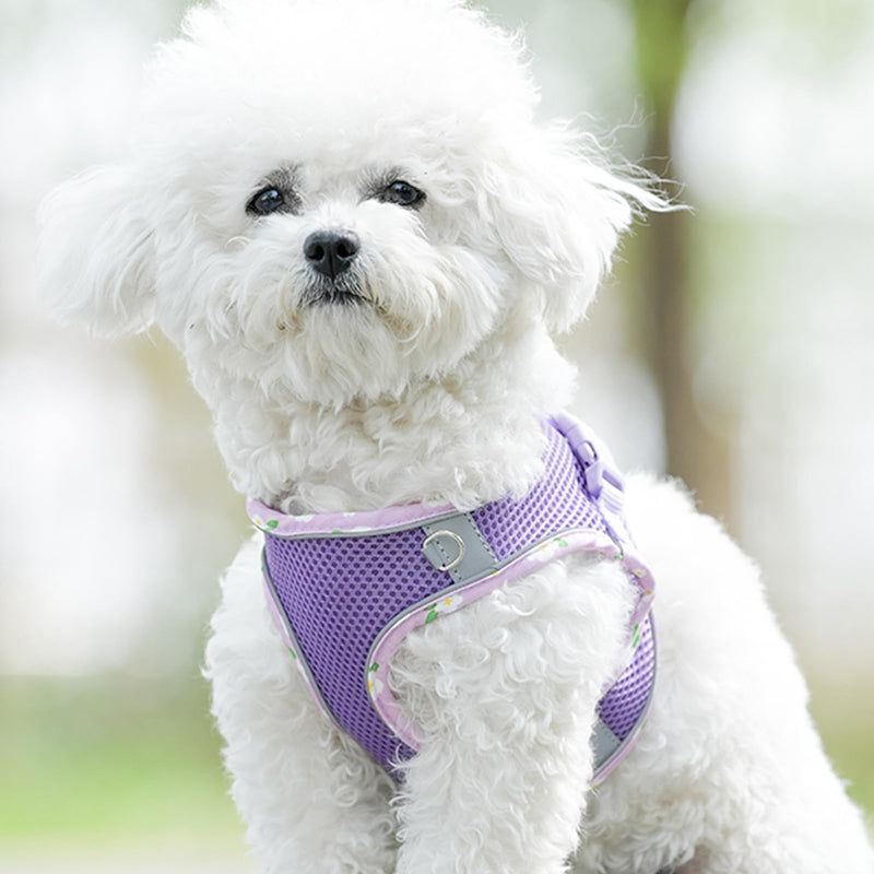 Petank Dog Harness for Small Medium Dogs No Pull, Puppy Harness and Leash Set, Mesh Adjustable Breathable Light Vest for Walking, Running, Training. (Purple, S) Purple - PawsPlanet Australia