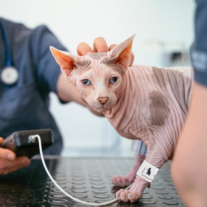 BESPORTBLE Blood Pressure Cuffs Blood Pressure Monitor Cuff for Dogs Portable Blood Pressure Cuff Blood Pressure Monitor Cuff Veterinary Supplies Universal Pet Cuff Fleece Veterinary Blood Pressure Monitor