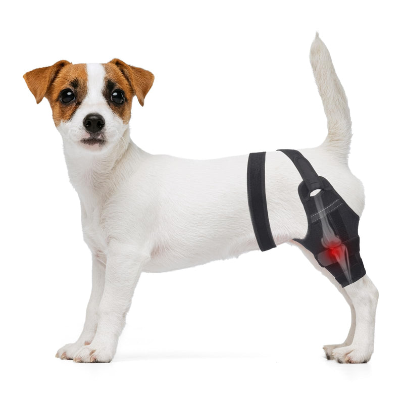 Dog Knee Brace for Torn Acl Hind Legs – Adjustable Support Brace with 2 Stabilizer Support to Reduces Pain, Ligament Injuries & Luxating Patella for Small Medium Large Dogs (Right Leg, S)