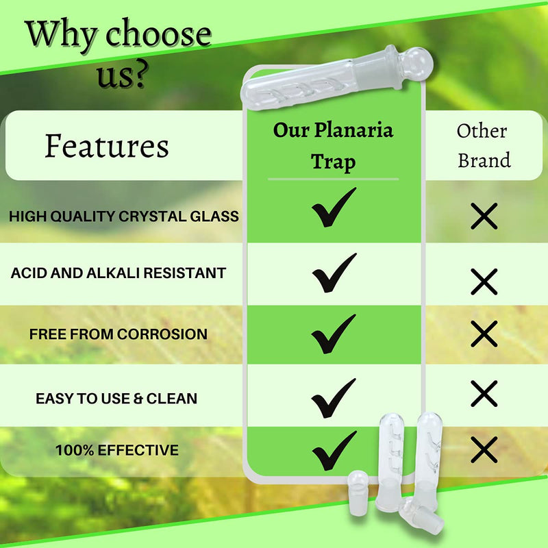 Planaria Trap Crystal Red Shrimp Tank Aquarium Bristle Worm Catcher, Shrimp Dwarf Shrimp Ghost Shrimp Live Freshwater Cleaning Supplies Clear Glass Leeches Catching Tube (3 Holes) - PawsPlanet Australia