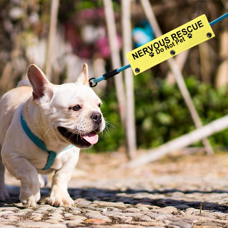 JXGZSO Nervous Dot Not Approach Nervous Do Not Pet Leash Dog Sleeve Shy Rescue Leash Wrap Nervous Shy Dog Gift (N Rescue Do N P DLS) N RESCUE Do N P DLS - PawsPlanet Australia
