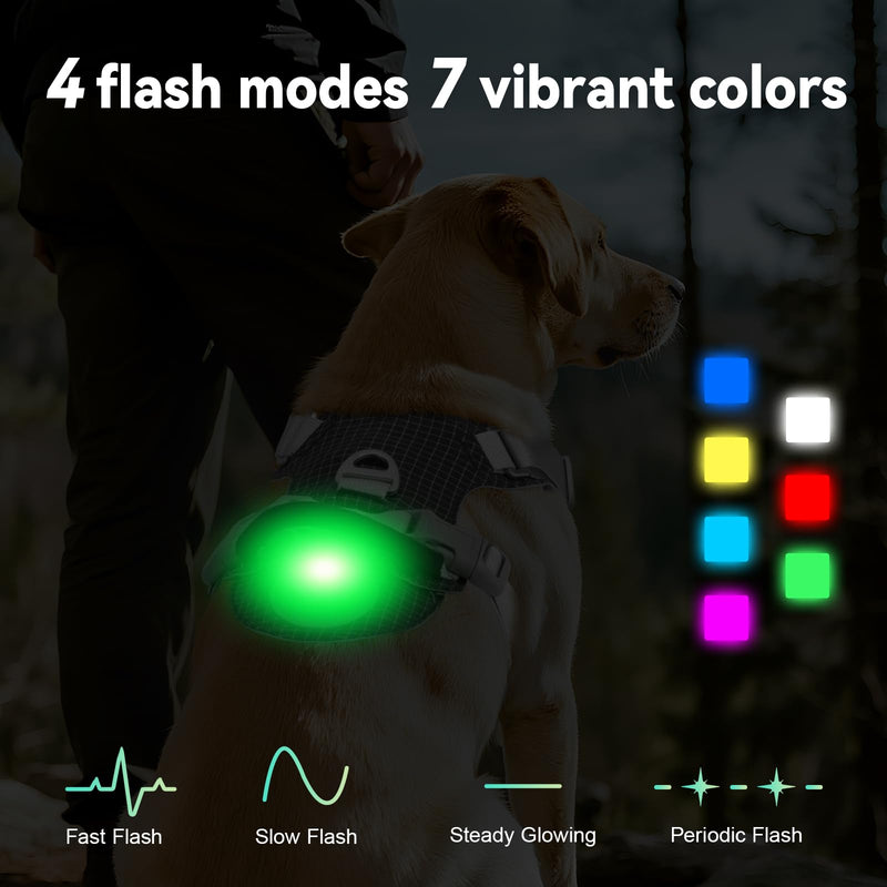 Joytale Lightweight Light Up Dog Harness, Rechargeable No-Pull LED Dog Harness with Detachable Light Box, Airtag Holder, Adjustable for Night Walking, Running & Everyday Use, Black, M - PawsPlanet Australia
