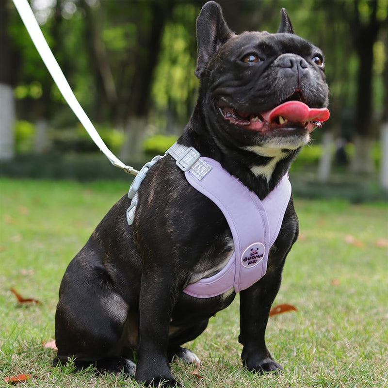 FEimaX Dog Harness Pet X Frame No Pull Step-in Harnesses with Leash Set, Adjustable Reflective Choke Free Puppy with Padded Vest for Small, Medium Dogs and Cats Walking Training Purple - PawsPlanet Australia
