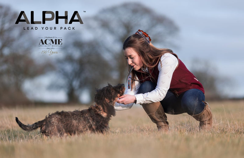 Genuine ACME genuine no. 211 Alpha professional dog training whistle with enhanced ergonomic grip. BPA-free plastic. 110 dBA long range. Made in the UK (Purple)
