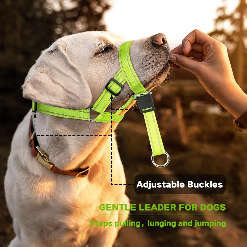 Reflective Dog Headcollar - Adjustable gentle leader Dog Head Halter Stops Heavy Pulling On The Leash - Soft Padded Head Collar for Medium Large Dogs Easier Walks (Medium, Green) - PawsPlanet Australia