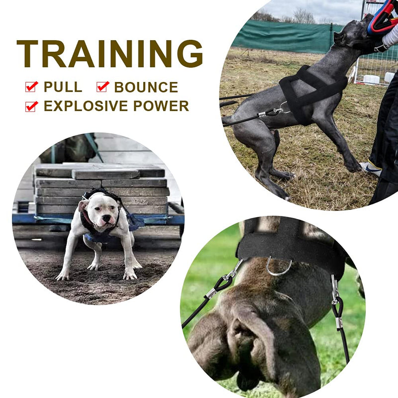 Forestpaw Heavy Duty No Pull Dog Harness for Training-Tactical Vest with 3 Metal Rings,Soft Padded Sled Harness for Medium to Large Dogs,Chest fits 23-28.5" Solid Chest:23-28.5",Neck:20" - PawsPlanet Australia