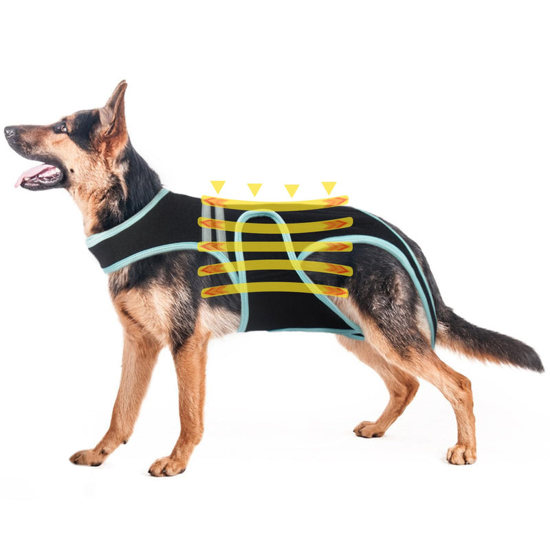 PUMYPOREITY Dog Back Brace for Arthritis, Dog Hip Brace for IVDD, Reflective Frame Support Harness for Back, Hip Brace Support, Keeps Back Stable and Reduces Movement Pains(2XL) 2XL