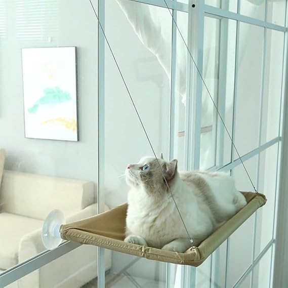 DICLLY Window cat hammock for cats up to 25 kg, cat hammock for large cats indoors, reinforced cat window seat with strong suction cup, 54 x 30 cm, window sill lounger cat - washable - PawsPlanet Australia