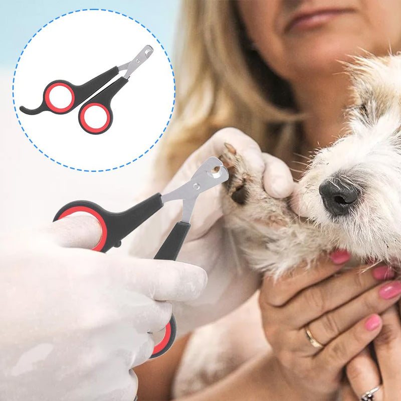 Cat Nail Clipper, Pet Nail Trimmers Bird Claw Scissors Stainless Steel Parrot Cage Essential Grooming Tool for Small Animals Ferrets Bunny Kitten Hamsters Rabbit Puppy Precision Sharp Cut - PawsPlanet Australia