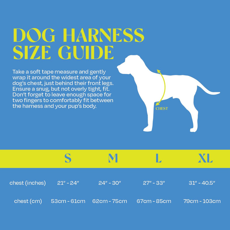 Marlio Adjustable Dog Harness - Stop Pulling, No Choke, Ensure Comfort, and Style with Easy-On, Unique Prints and Matching Leashes Available - Large, Blue/Yellow Swirl - PawsPlanet Australia