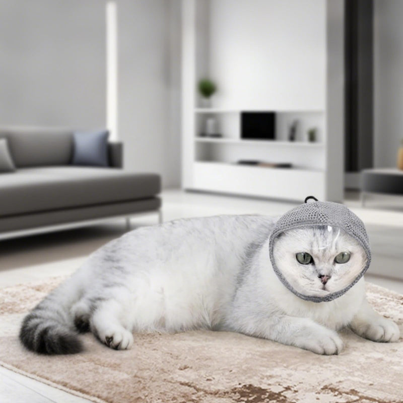 Cat Bubble Muzzle for Cats That Bite Transparent Muzzle for Grooming and Nail Trimming Adjustable Soft Breathable Mesh for Bite Prevention - PawsPlanet Australia