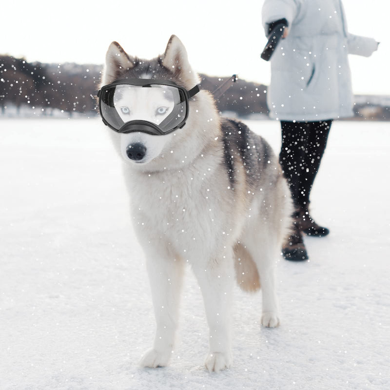 NAMSAN Dog Goggles Clear Lens for Medium-Large Breed UV Protection Dog Sunglasses Anti-Fog Windproof Transparent Lens for Outdoor Dogs Eye Safety, Black - PawsPlanet Australia